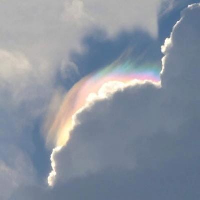 Phạm Hữu Tài avatar