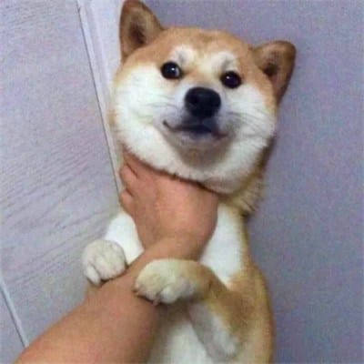 Trần Minh Quân avatar